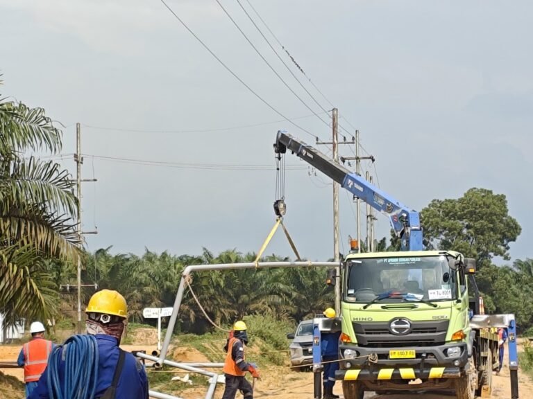 WhatsApp Image 2025-07-03 at 14.22