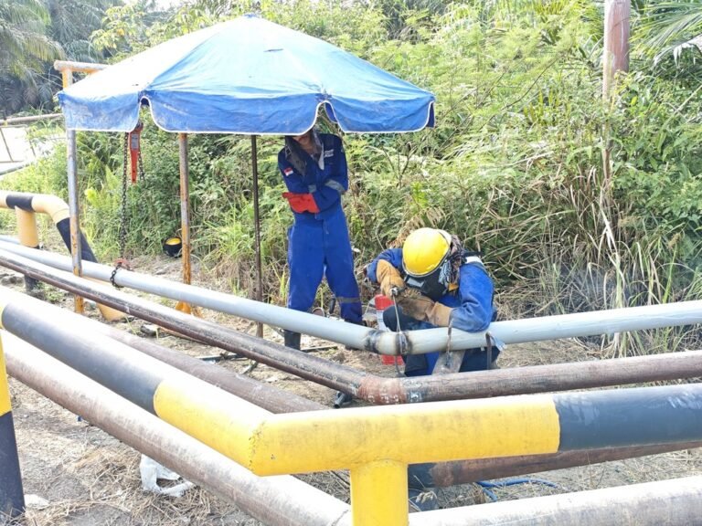 WhatsApp Image 2025-07-03 at 14.22