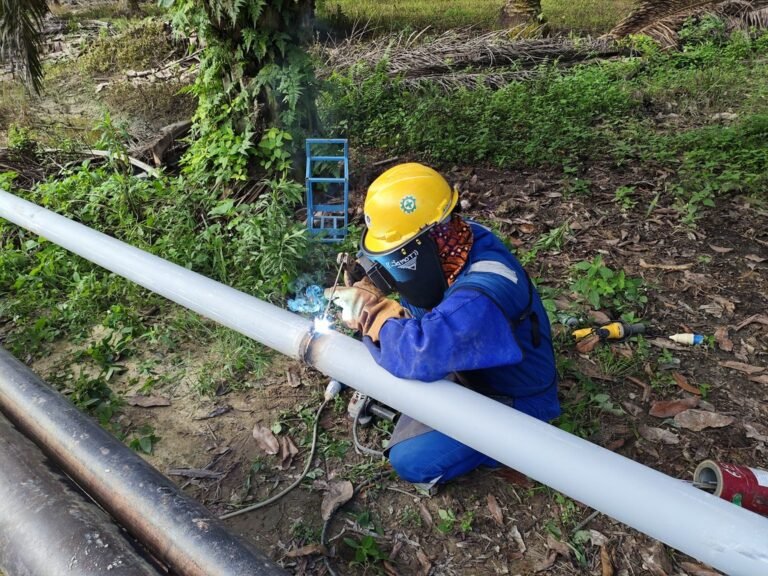 WhatsApp Image 2025-07-03 at 14.22