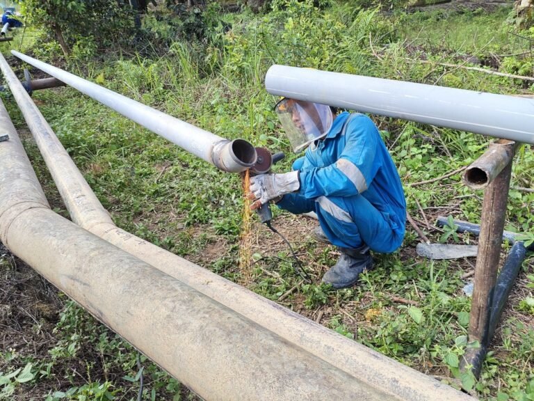 WhatsApp Image 2025-07-03 at 14.22